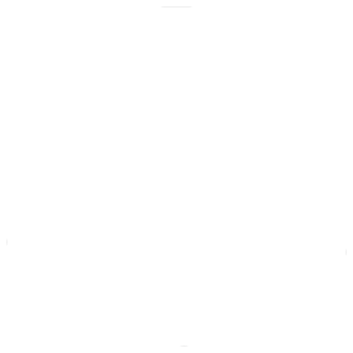 Visa Assistance